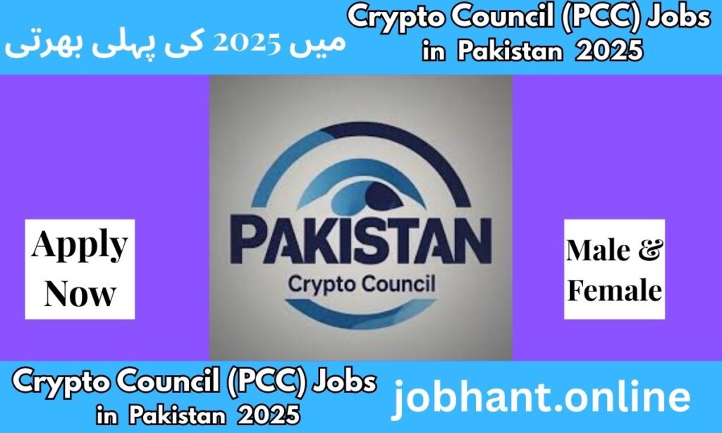 Pakistan Crypto Council (PCC) Jobs 2025