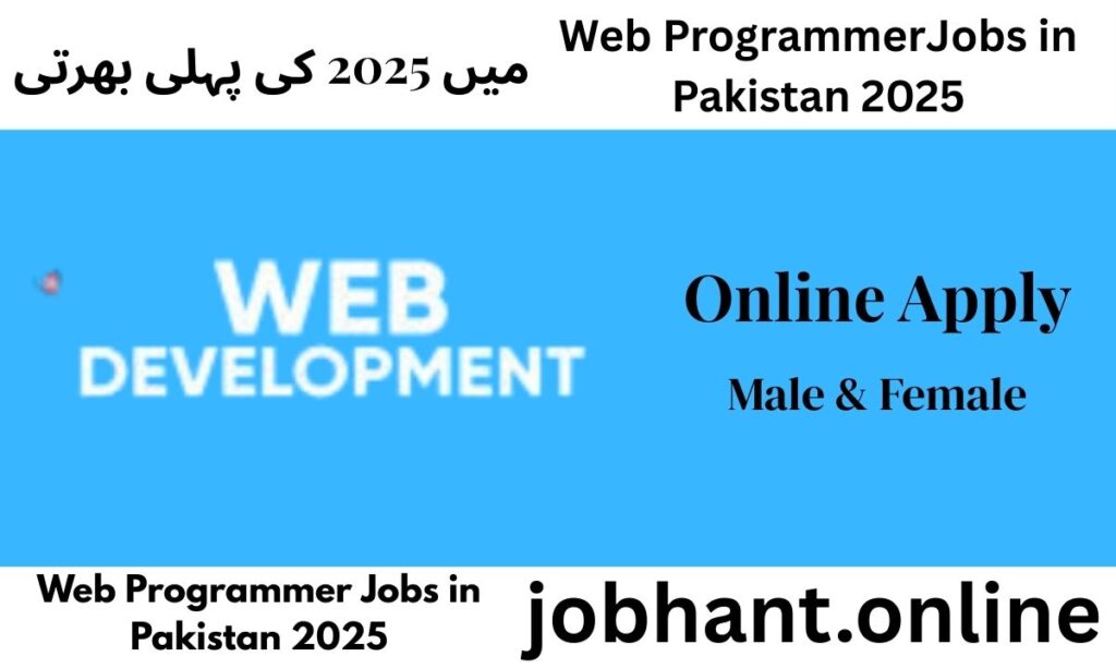 Top Web Programmer Jobs in Pakistan 2025