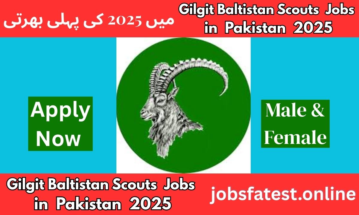 Join Gilgit Baltistan Scouts Jobs 2025